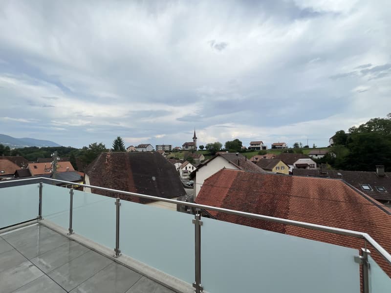 MAGNIFIQUE ATTIQUE, MODERNE ET NEUF (7)