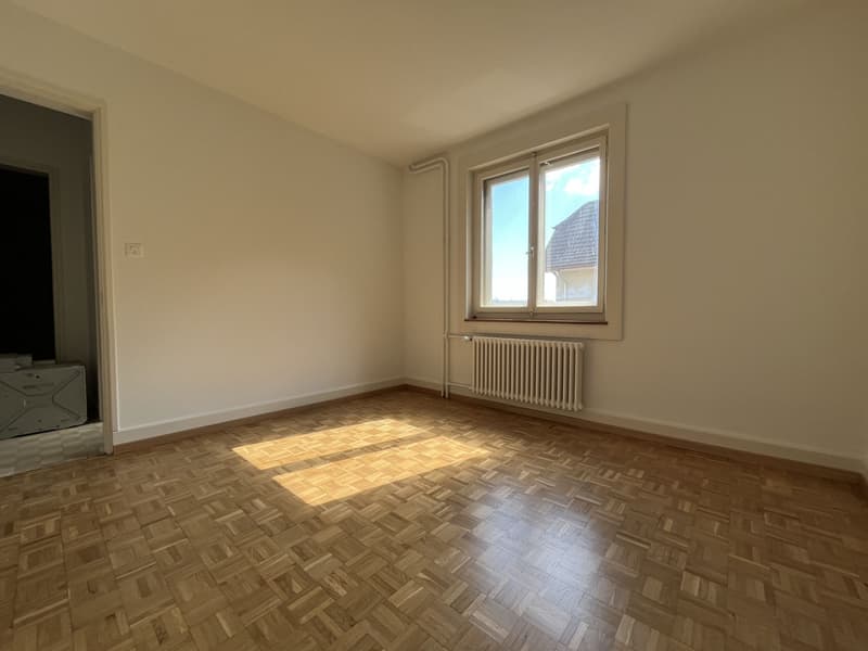 ENTIEREMENT RENOVE, AVEC VUE SUR LE LAC (5)