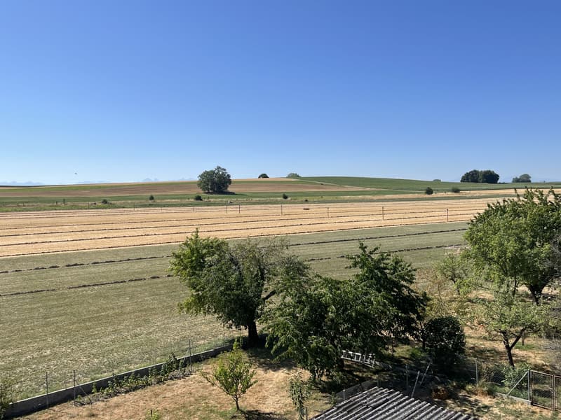 ATTIQUE, AVEC UNE GRANDE TERRASSE COUVERTE (1)