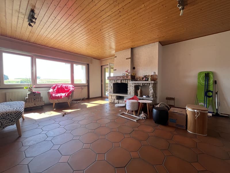 ATTIQUE, AVEC UNE GRANDE TERRASSE COUVERTE (3)