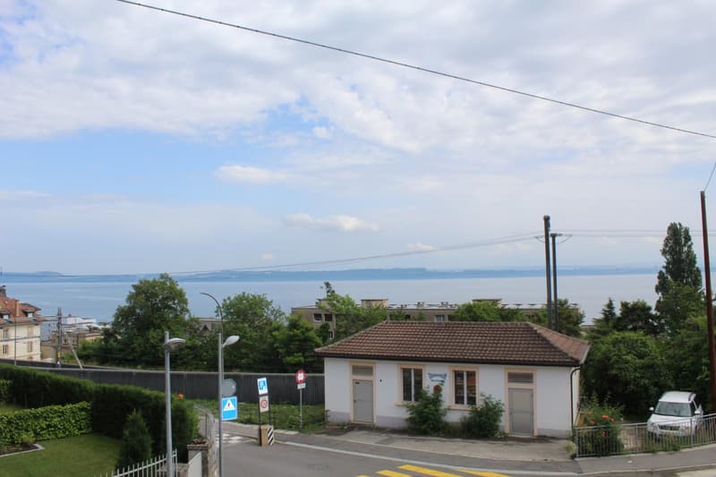 MAGNIFIQUE APPARTEMENT, AVEC VUE SUR LE LAC (1)