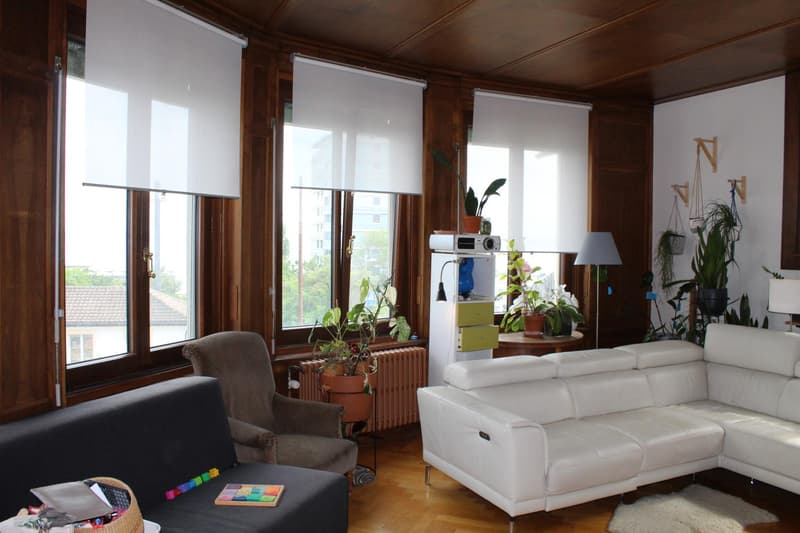 MAGNIFIQUE APPARTEMENT, AVEC VUE SUR LE LAC (5)