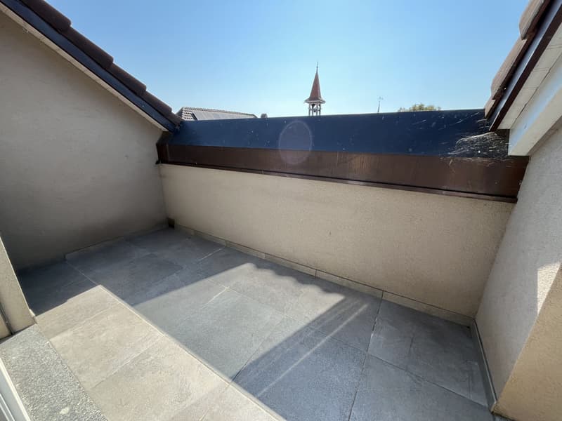MAGNIFIQUE DUPLEX EN ATTIQUE (3)