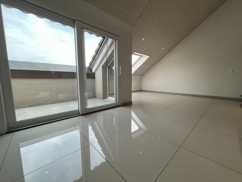 MAGNIFIQUE DUPLEX EN ATTIQUE (9)