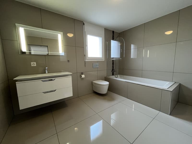MAGNIFIQUE DUPLEX EN ATTIQUE (11)