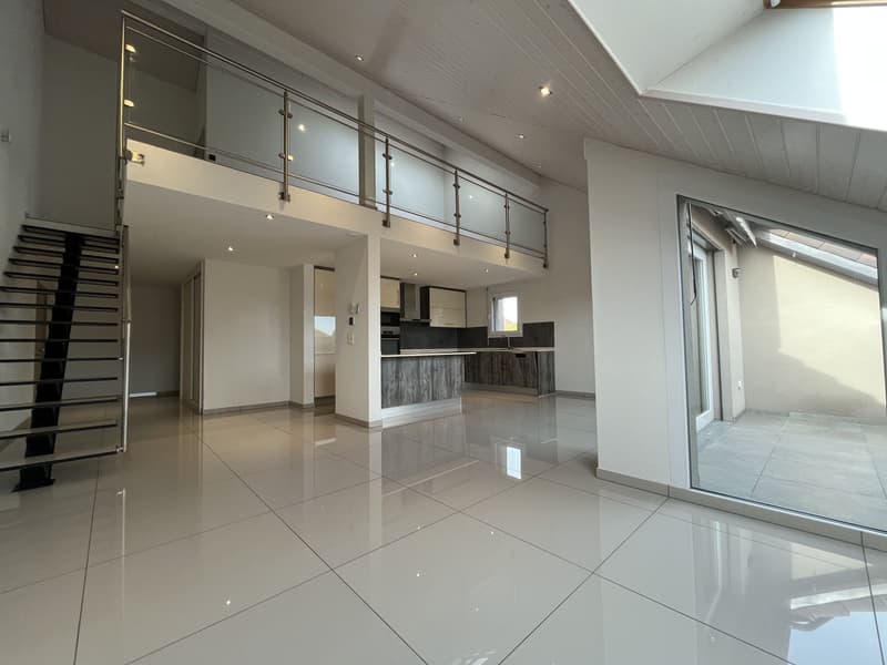 MAGNIFIQUE DUPLEX EN ATTIQUE (4)