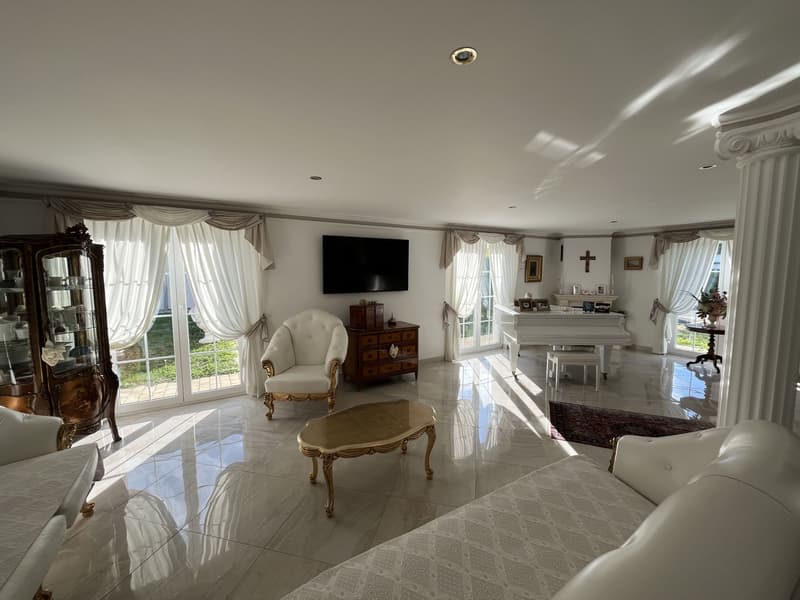 MAGNIFIQUE VILLA INDIVIDUELLE (3)
