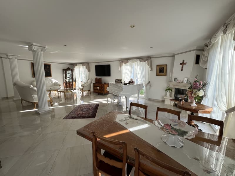 MAGNIFIQUE VILLA INDIVIDUELLE (8)