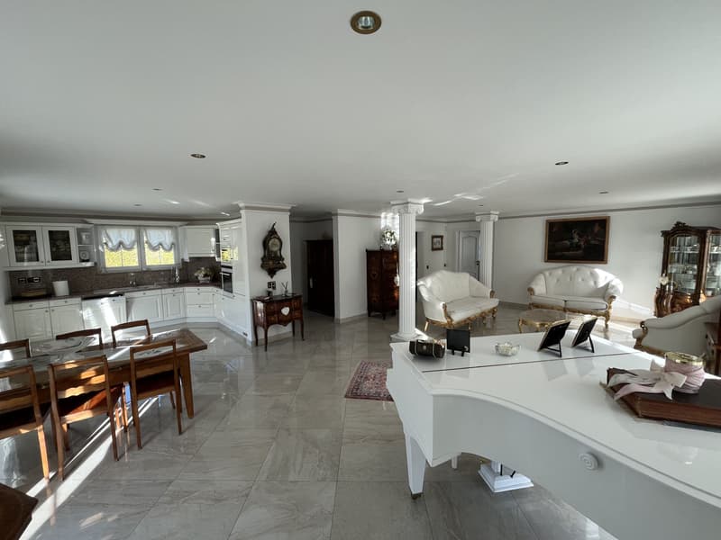 MAGNIFIQUE VILLA INDIVIDUELLE (4)