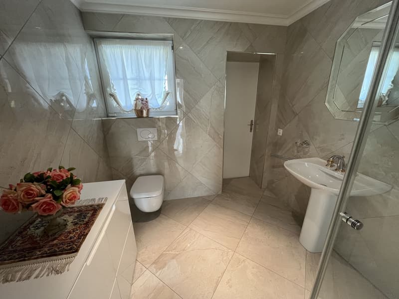 MAGNIFIQUE VILLA INDIVIDUELLE (10)