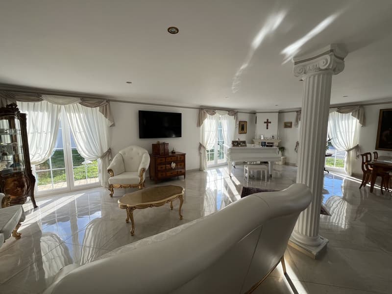 MAGNIFIQUE VILLA INDIVIDUELLE (9)