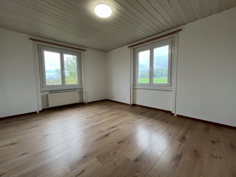 TRES BEL ATTIQUE, DANS UNE MAISON (2)