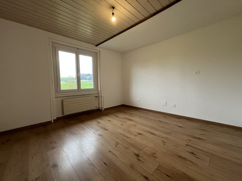 TRES BEL ATTIQUE, DANS UNE MAISON (8)