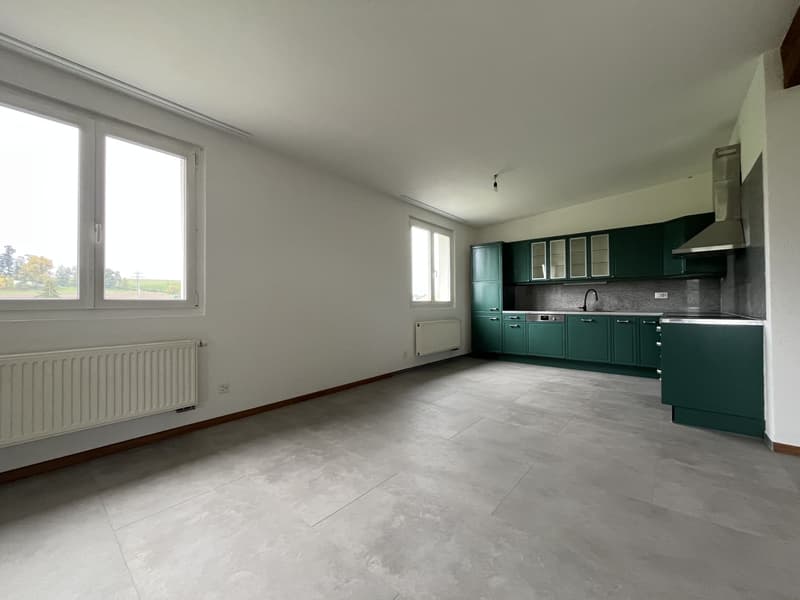 TRES BEL ATTIQUE, DANS UNE MAISON (5)