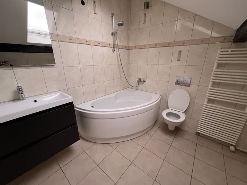 TRES BEL ATTIQUE, DANS UNE MAISON (12)