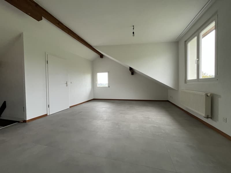 TRES BEL ATTIQUE, DANS UNE MAISON (7)