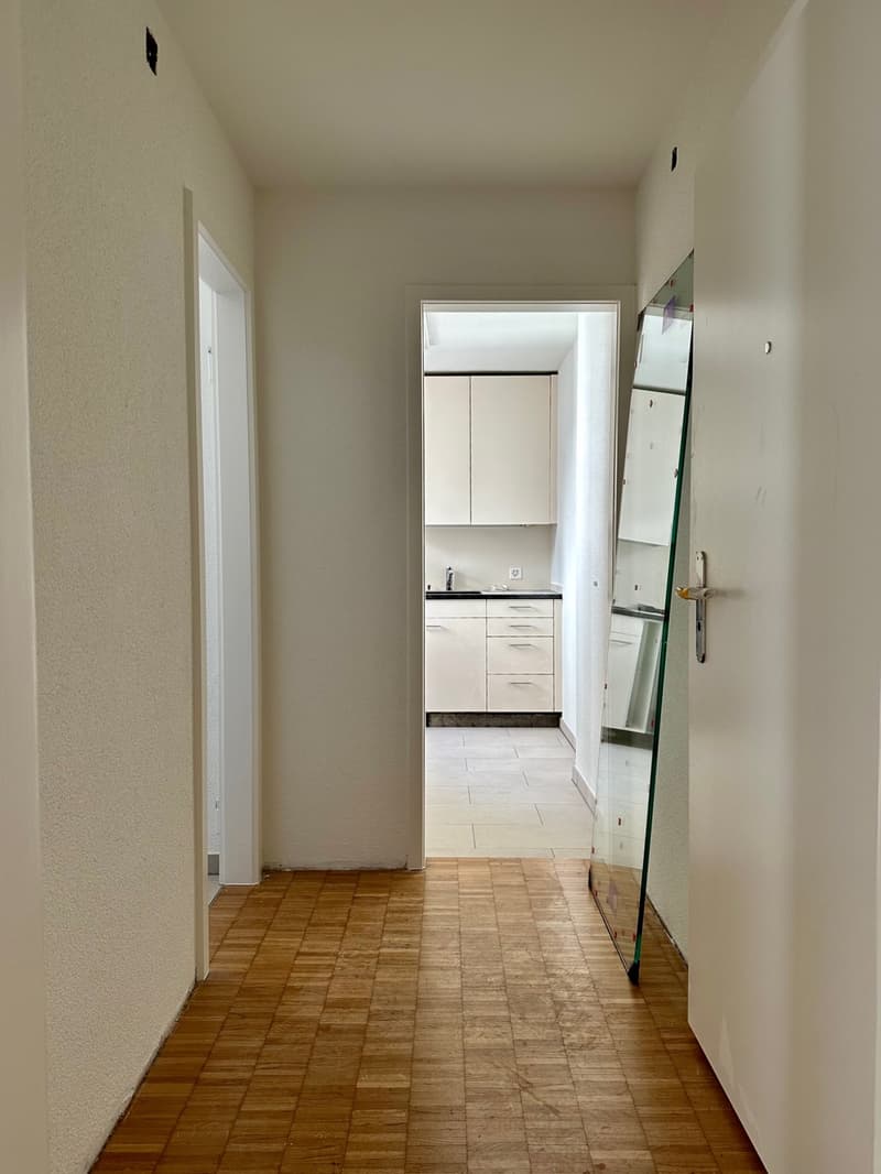 Charmante 1-Zimmerwohnung an der Aemtlerstrasse 18 (6)