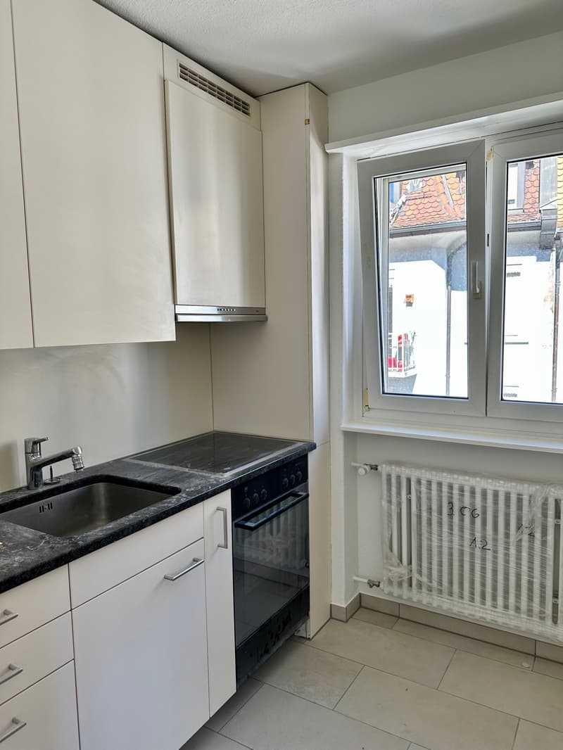 Charmante 1-Zimmerwohnung an der Aemtlerstrasse 18 (2)