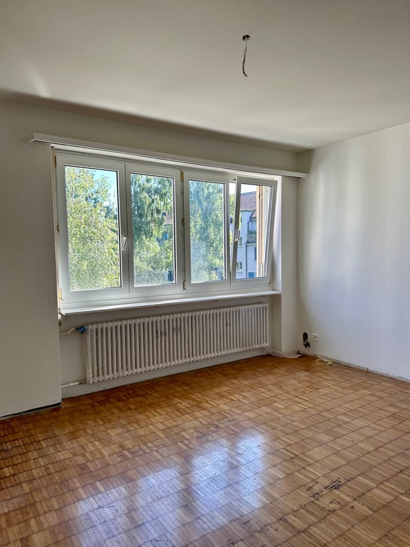 Charmante 1-Zimmerwohnung an der Aemtlerstrasse 18 (8)