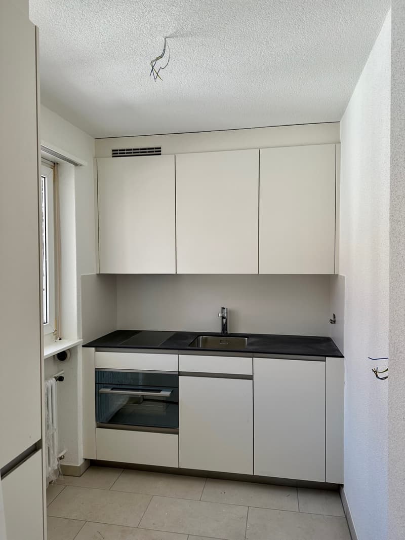 Charmante 1-Zimmerwohnung an der Aemtlerstrasse 18 (3)