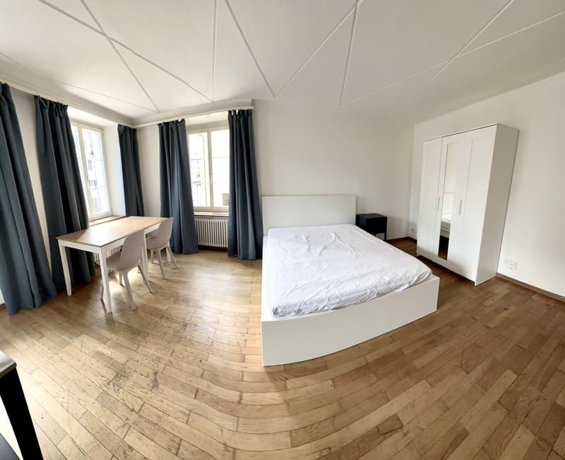 Grosszügiges und modern möbliertes Zimmer (2)