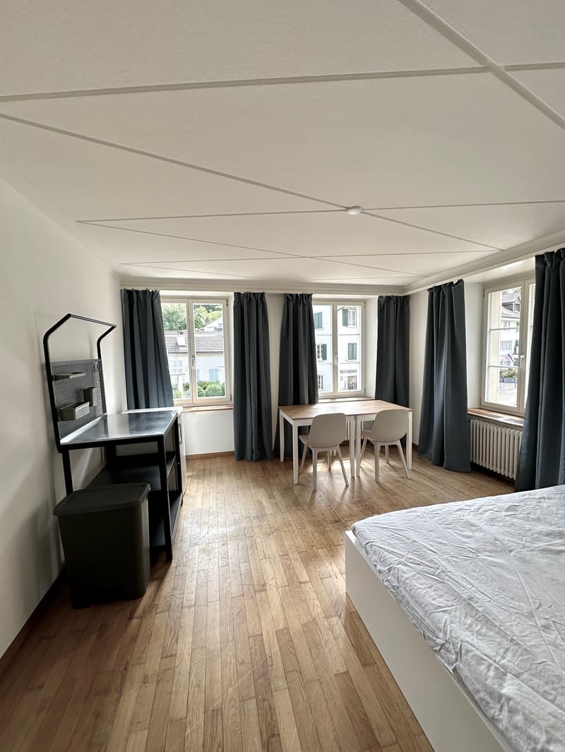 Grosszügiges und modern möbliertes Zimmer (4)