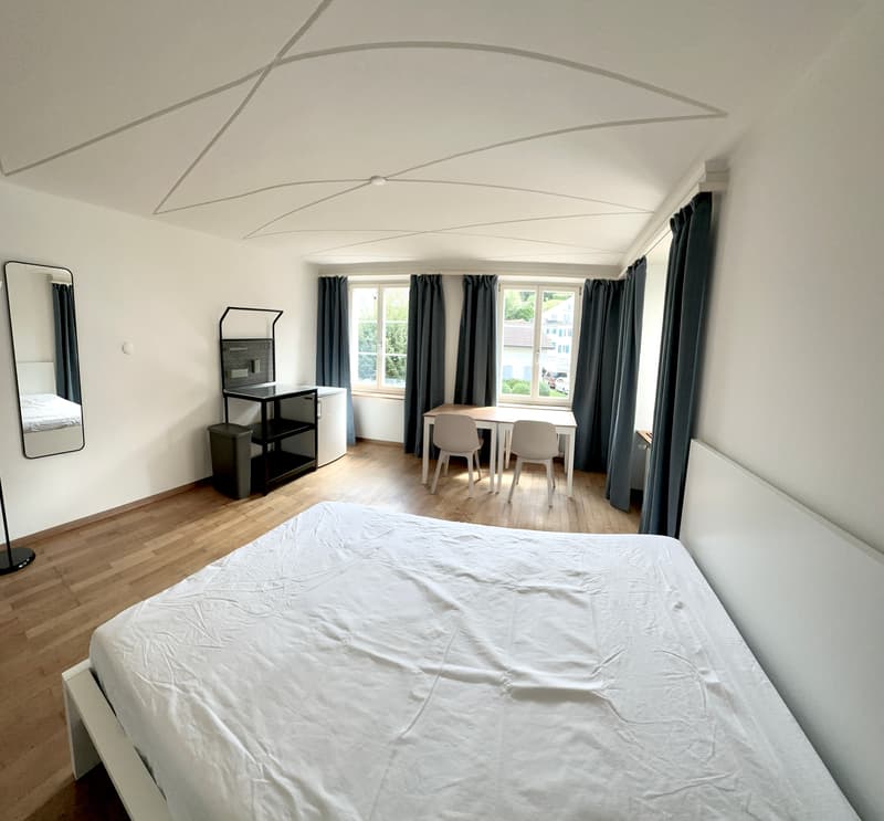 Grosszügiges und modern möbliertes Zimmer (1)