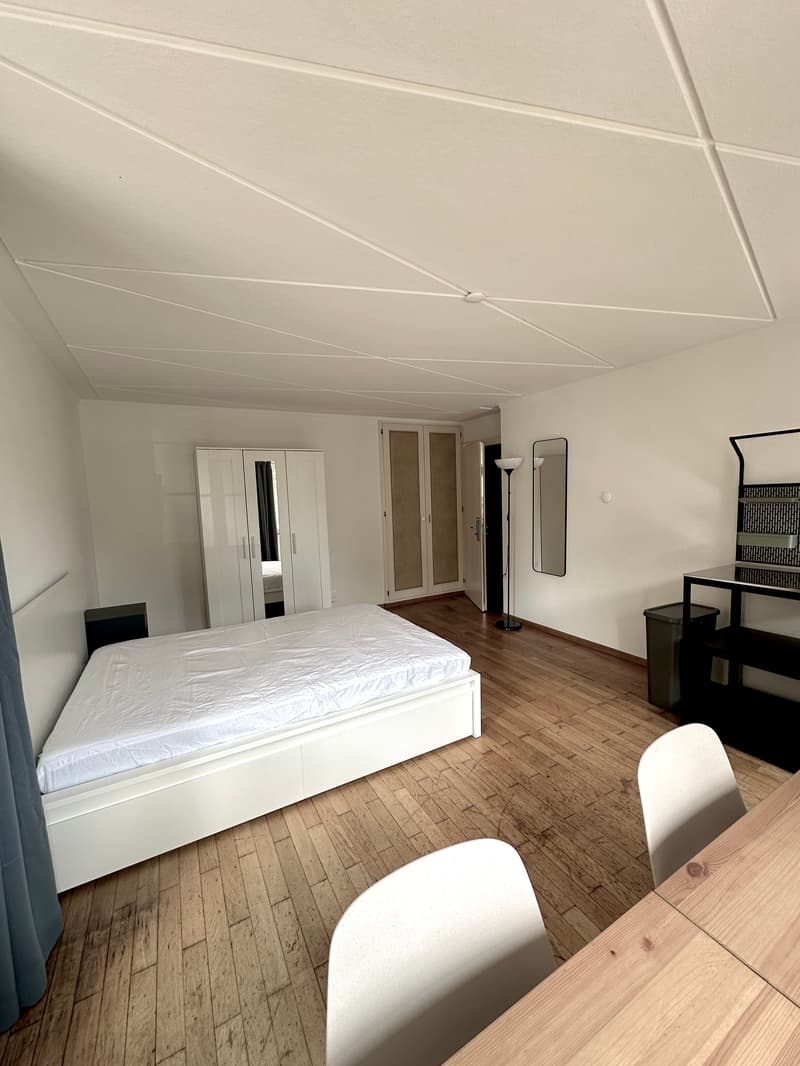 Grosszügiges und modern möbliertes Zimmer (5)