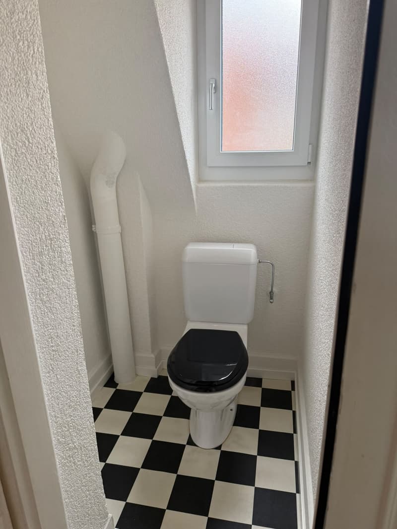 Charmante 3-Zimmerwohnung mit grossem Balkon und schöner Aussicht (7)
