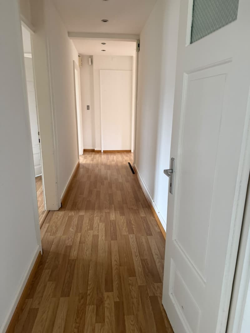 Charmante 3-Zimmerwohnung mit grossem Balkon und schöner Aussicht (6)