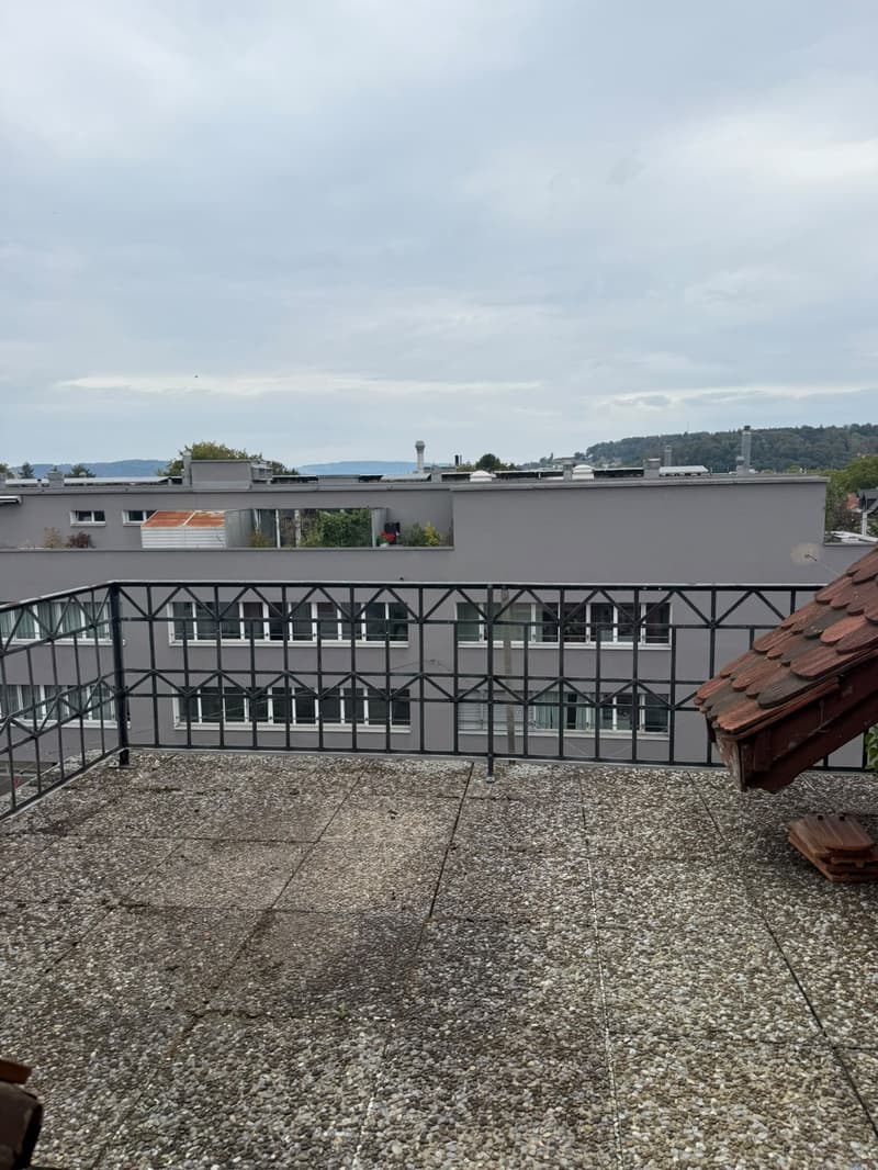 Charmante 3-Zimmerwohnung mit grossem Balkon und schöner Aussicht (3)