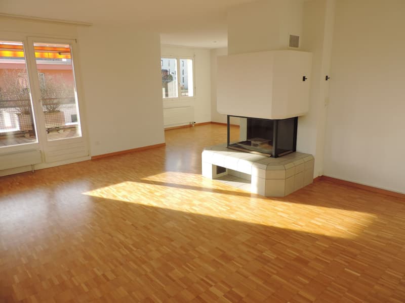 4.5-room attic apartment with large terrace (9)