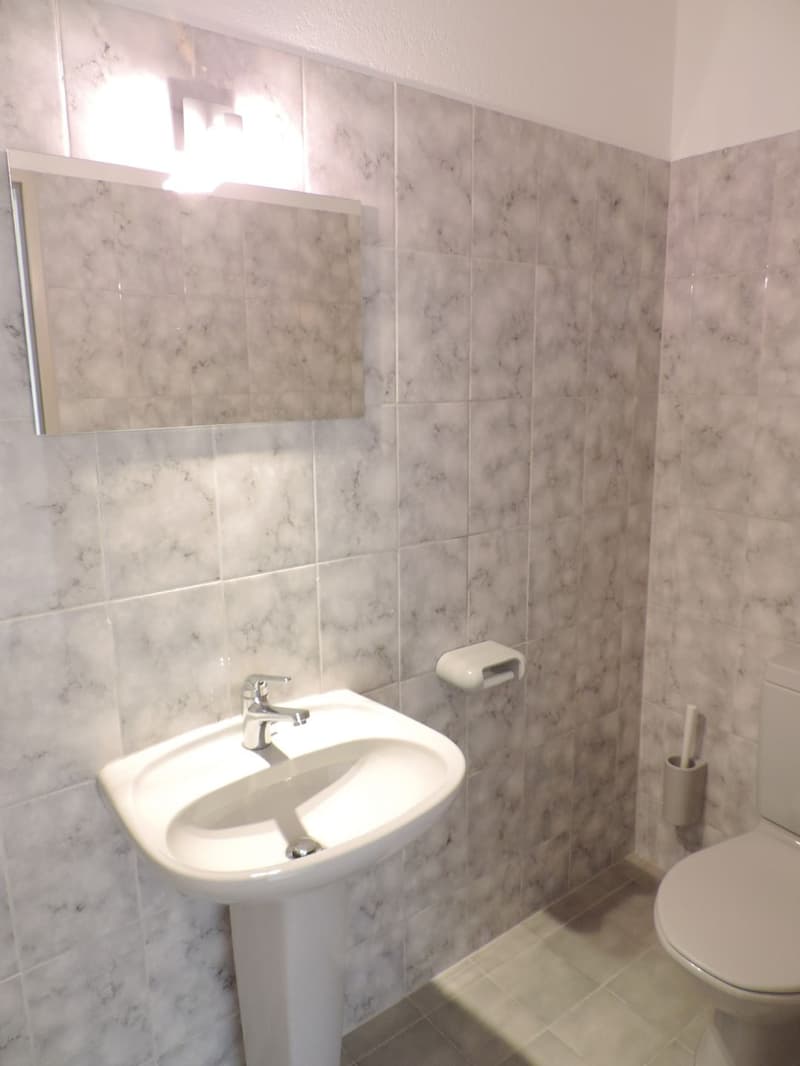 4.5-room attic apartment with large terrace (8)