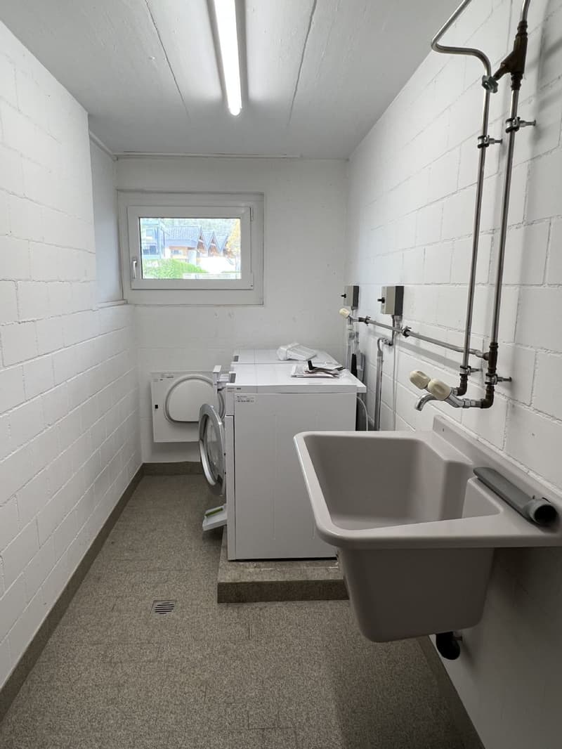 Central 2.5 room apartment with private laundry room (7)