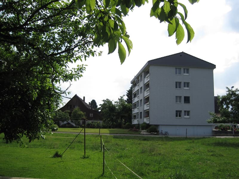 Superbe appartement 4.5 pièces au 2e étage (9)