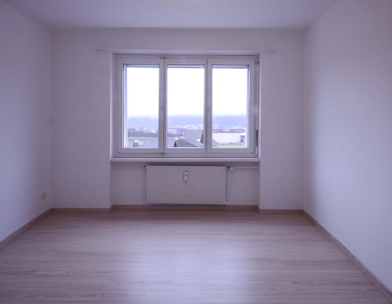 Superbe appartement 4.5 pièces au 2e étage (2)