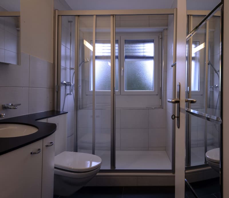 Superbe appartement 4.5 pièces au 2e étage (5)