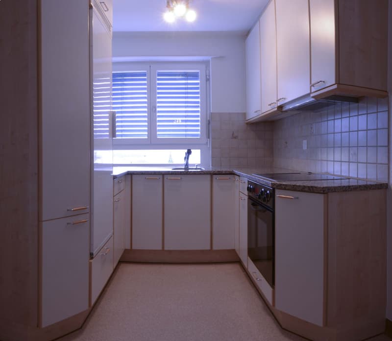 Superbe appartement 4.5 pièces au 2e étage (4)
