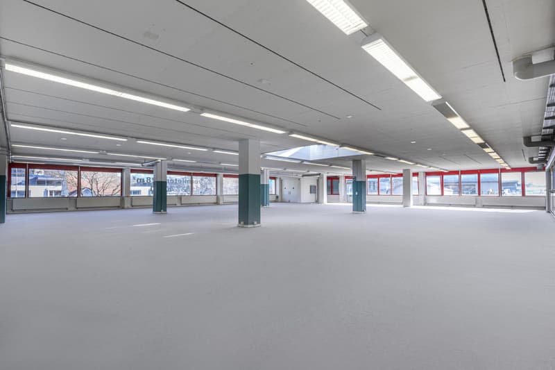 Spazio commerciale attraente (7)