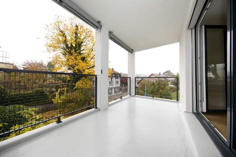 Tolle 4.5 Zimmerwohnung in mitten von Aarburg (4)