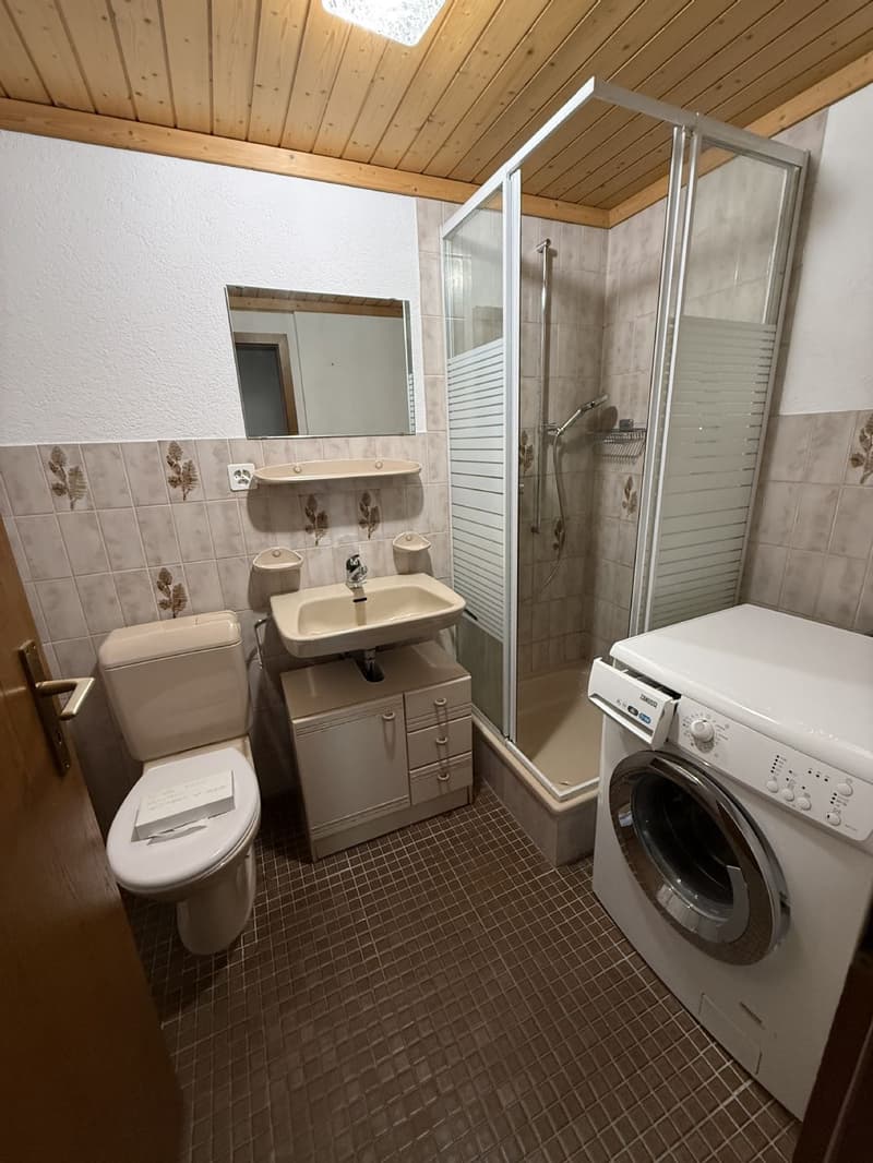 3.5 rooms / Looking for a temporary solution? Rent until spring 2027. (7)