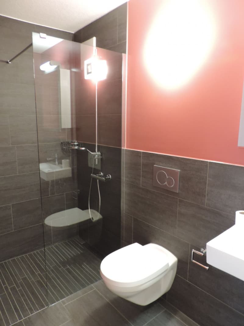Tolle 4.5-Zimmer-Wohnung im Erdgeschoss (6)