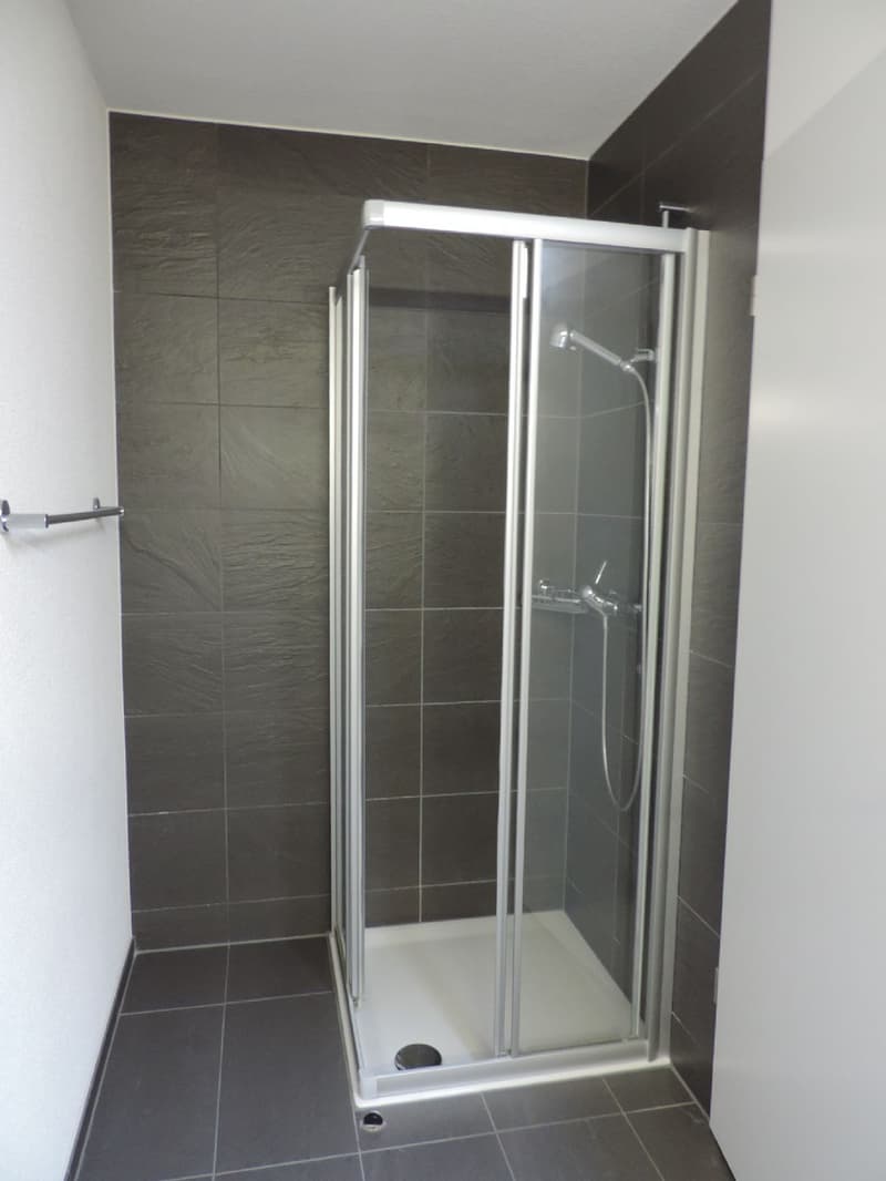 Top gelegene 3.5 Zimmer-Attikawohnung (11)