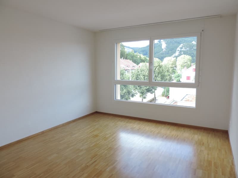 Top gelegene 3.5 Zimmer-Attikawohnung (4)