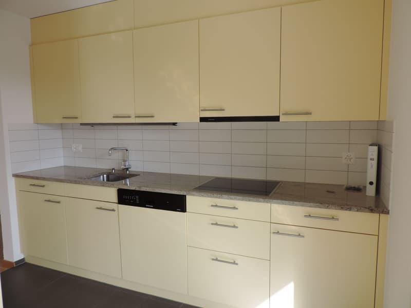 Top gelegene 3.5 Zimmer-Attikawohnung (8)