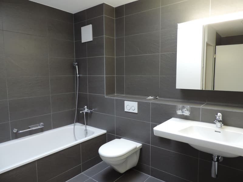 Top gelegene 3.5 Zimmer-Attikawohnung (10)