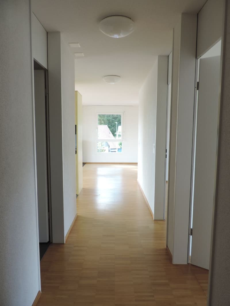 Top gelegene 3.5 Zimmer-Attikawohnung (7)