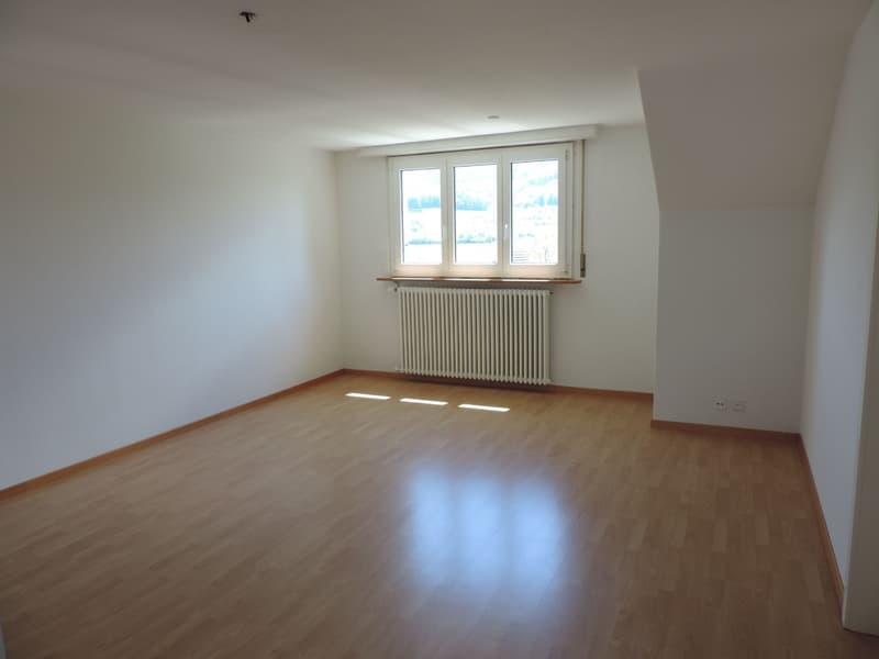 Charmante 3.0-Zimmerwohnung im Dachgeschoss (5)