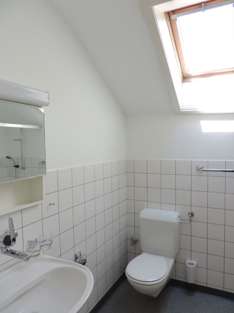 Charmante 3.0-Zimmerwohnung im Dachgeschoss (9)
