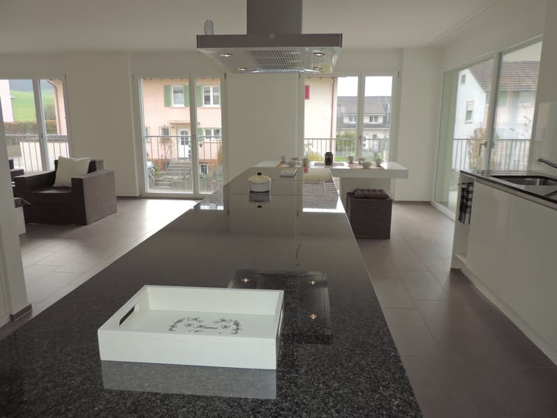 Tolle 4.5 Zimmerwohnung in Wangen b. Olten (5)